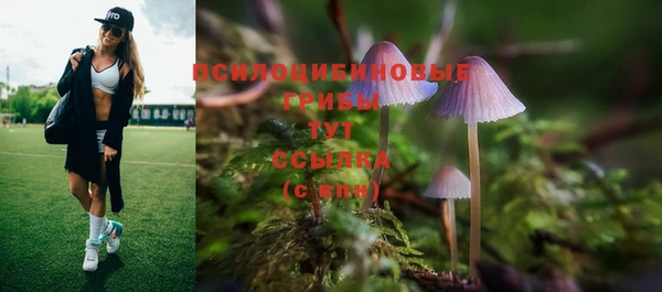 прущая мука Богданович